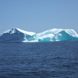 Iceberg Viewing