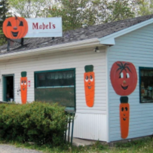 Mabel’s Farm Market