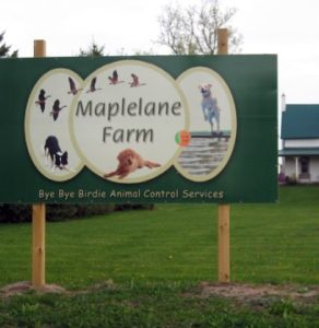 Maplelane Farm Event Centre