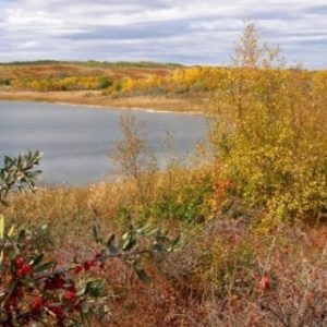 Redberry Lake Regional Park