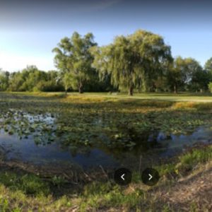 Sadler’s Pond Nature Park