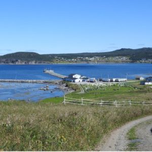 Salmon Point Lookout
