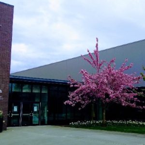 The Reach Gallery Museum