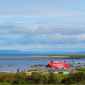 Thrombolite Walking Trail