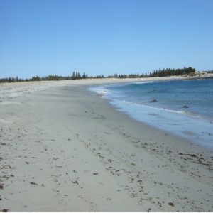 Tor Bay Provincial Park