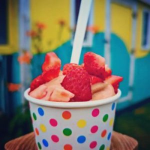 Treats and Sweets Dairy Bar