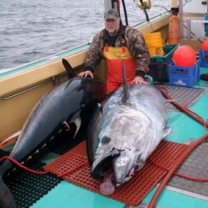 World Record Bluefin Tuna Charters - Canso | Nova Scotia - 1000 Towns ...