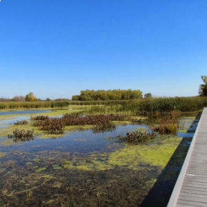 Hillman Marsh Conservation Area and Beach