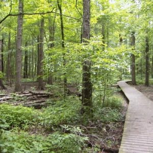 Kopegaron Woods Conservation Area