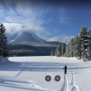 Allison-Chinook Cross Country Ski Trails