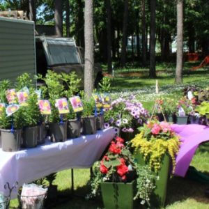 Annual Harriston Garden Festival