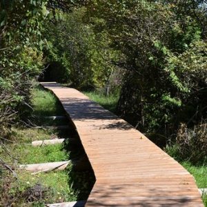 Bannockburn Conservation Area