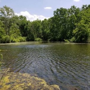 Big Bend Conservation Area