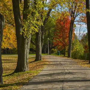 Cannington Macleod Park