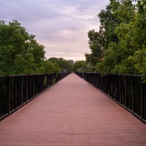 Cayuga Grand Vista Trail – East Trailhead