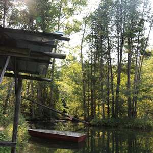 Crazy Creek Fishing Preserve