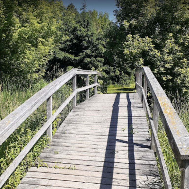 Drayton Walking Trail