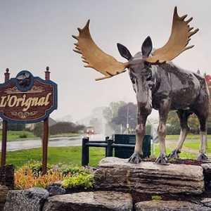 L’Orignal Moose Statue