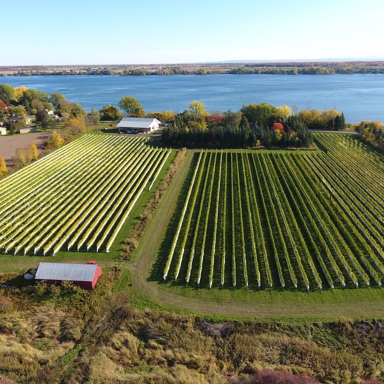 Le Bourg des Cèdres