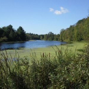 Marble Rock Conservation Area