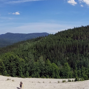 Mont Lyall Agate Mine