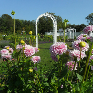Quinte Botanical Gardens
