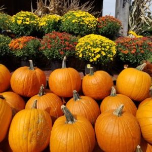 Richardson’s Farm and Market