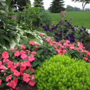 Steckle’s Produce & Flowers