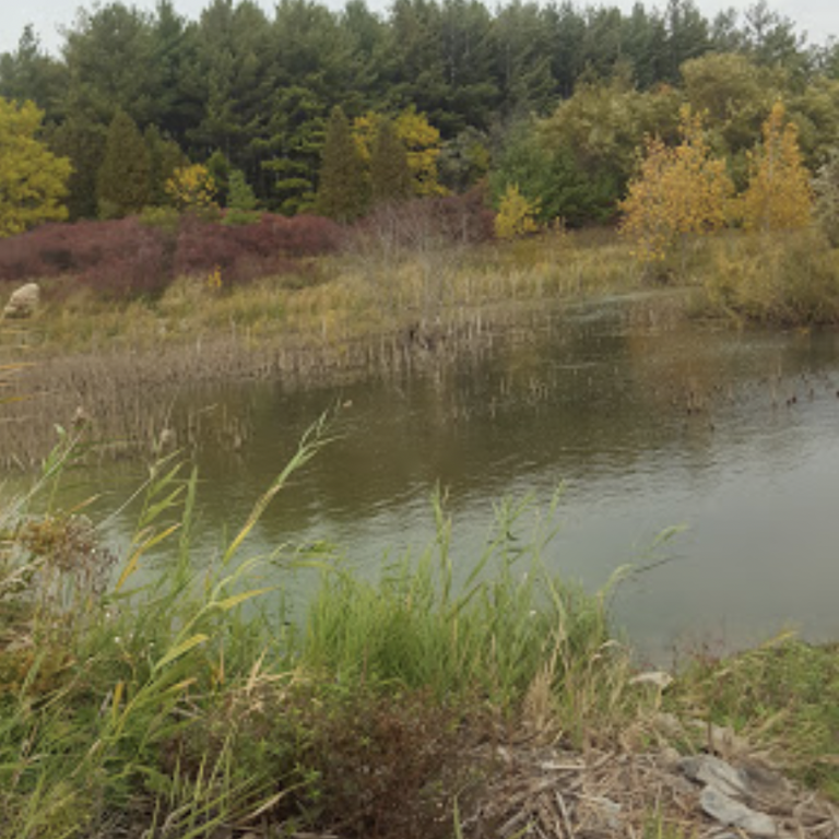 Taquanyah Conservation Area
