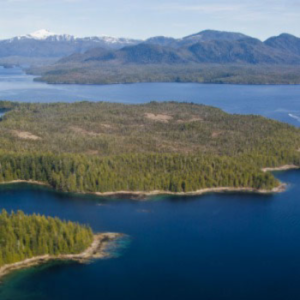 The YuWala Marine Charters