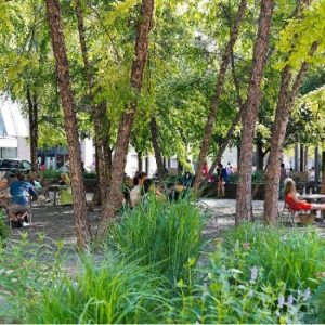 Village of Yorkville Park