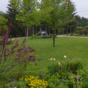 Walkerton Heritage Water Garden