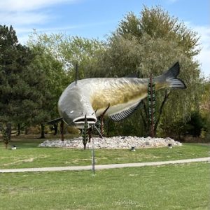 Giant Muddi & Heritage White Oak