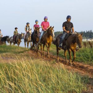 Brudenell Riding Stables