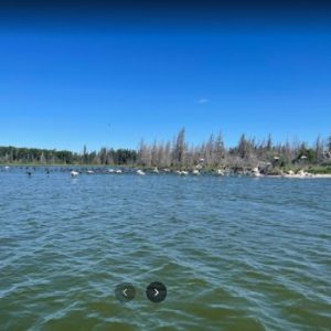 Moose Lake Provincial Park