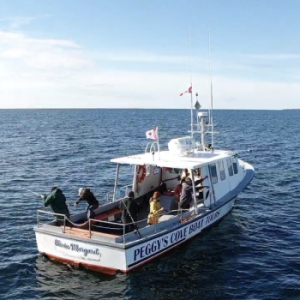 Peggy’s Cove Boat Tours