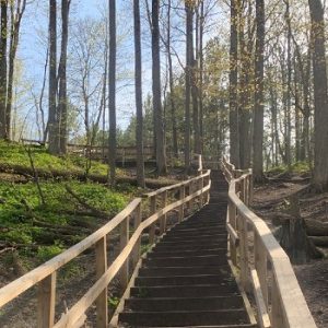 Thornton Bales Conservation Area