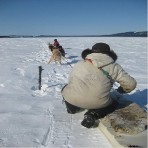 Tikigiaksaugusik Festival