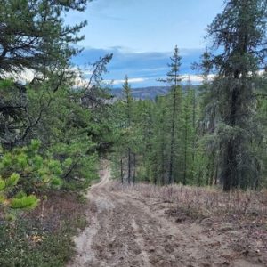 Wapiti Dunes Trails