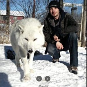 A Wolf Adventure Outreach and Retreat