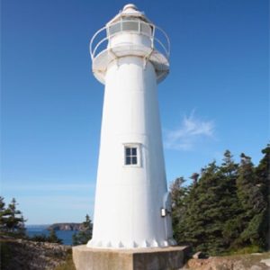 Gatherall’s Puffin & Whale Watch