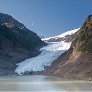 Bear Glacier