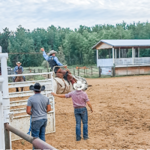 Boyle Agricultural Grounds