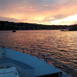 Captain Wayne’s Marine Excursions