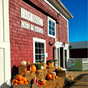 Dempsey Corner Orchards