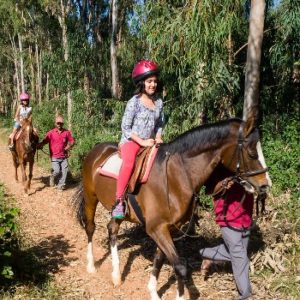 Dreamfields Riding Centre