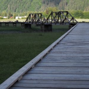 Estuary Boardwalk