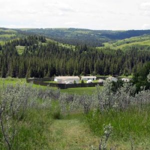 Fort Walsh National Historic Site
