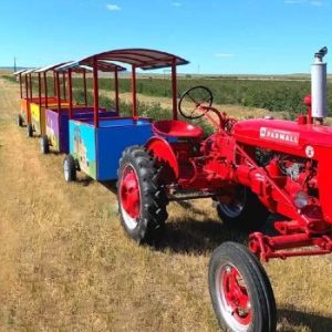 Grotto Gardens Family Fun Farm