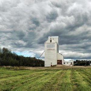 Leoville Elevator